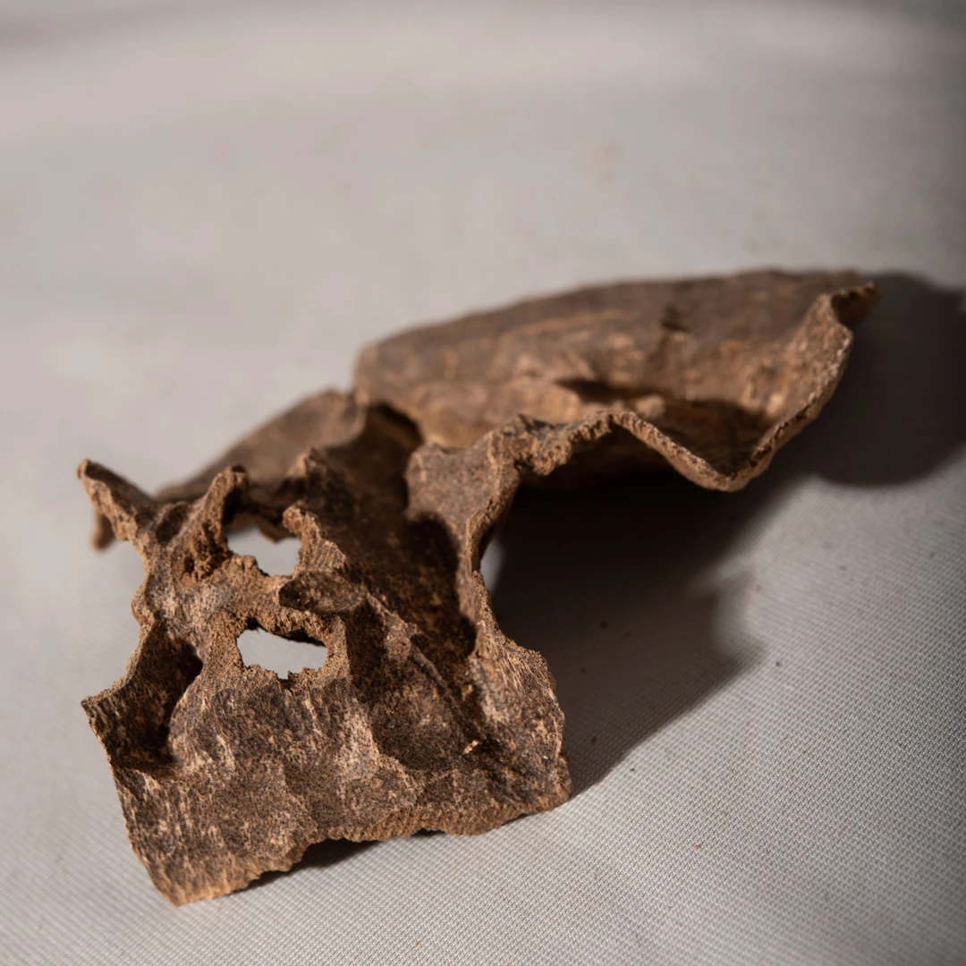 沉香【弘伽楠】十八年香港老铁顶沉香 规格自选