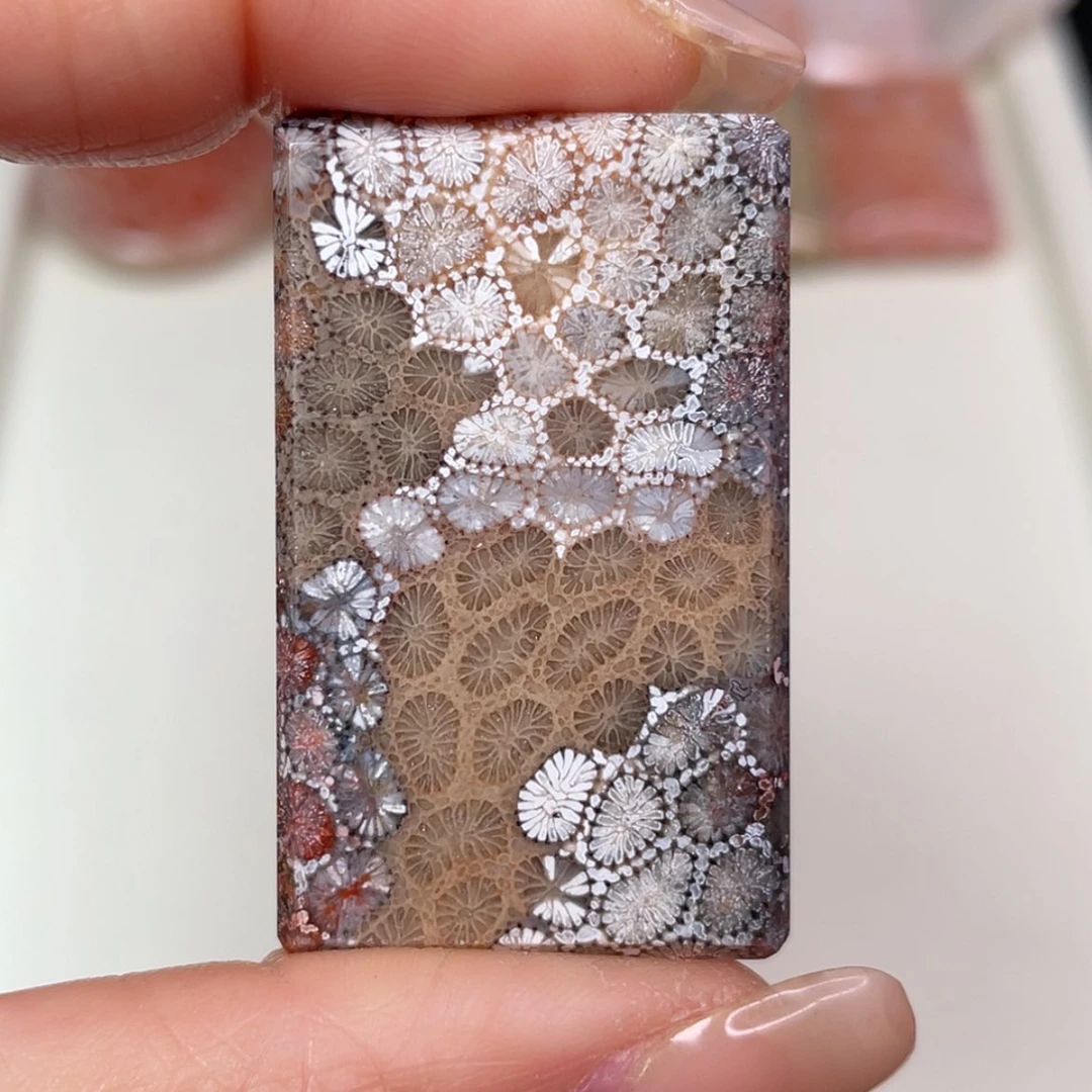 【闪购商品】未镶嵌吊坠(赠链)硅化玉