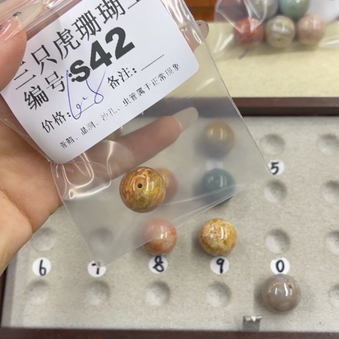 会***喵硅化珊瑚（珊瑚玉）h银S925镀金镶嵌