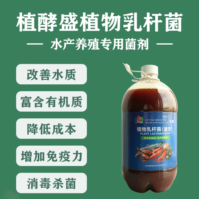 植酵盛植物乳杆菌（水产养殖专用）饲料批发添加剂