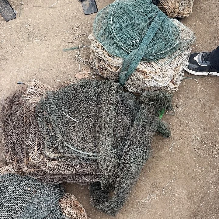 倪***丰虾虾虾笼包邮255555222