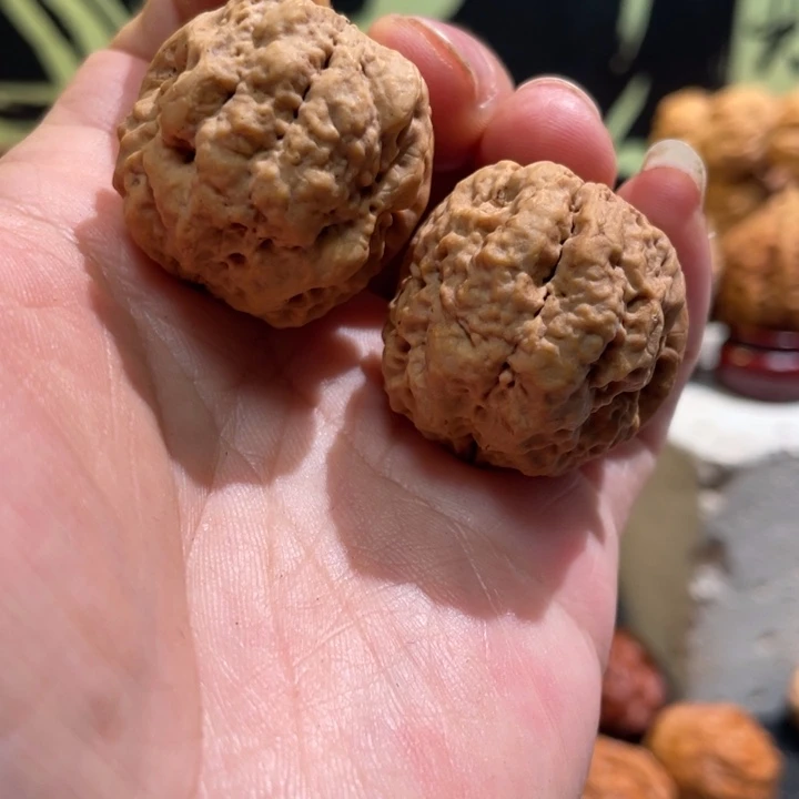 文玩核桃把件编号55