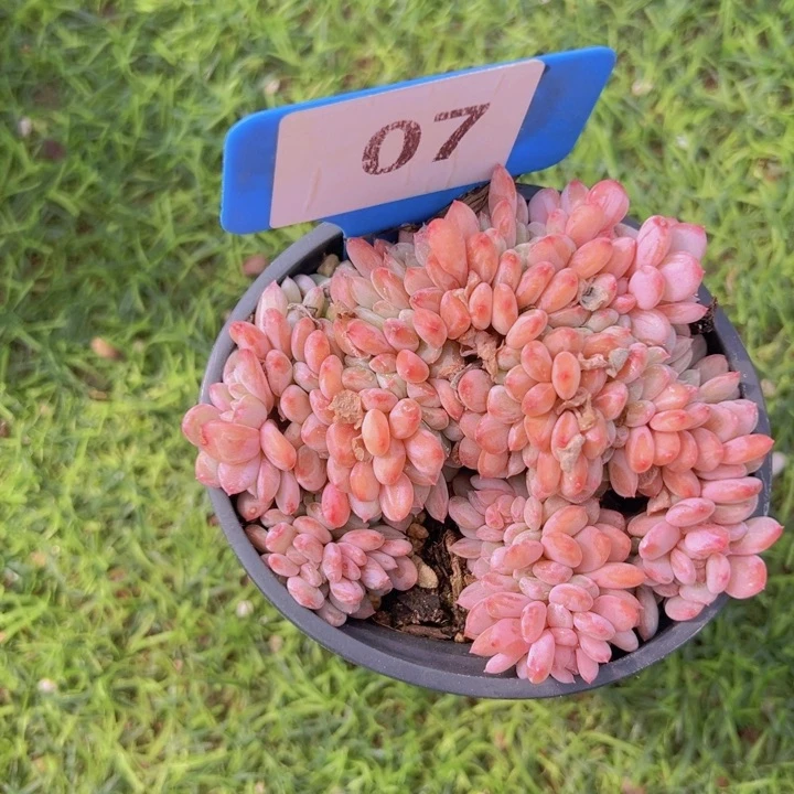 健健康康平平安安