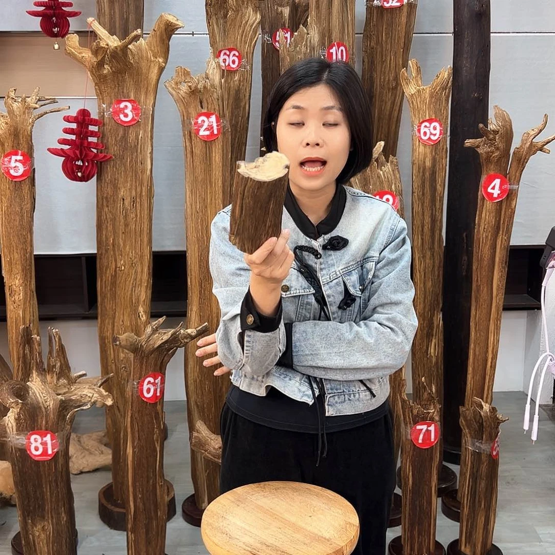 沉香摆件海南沉香摆件