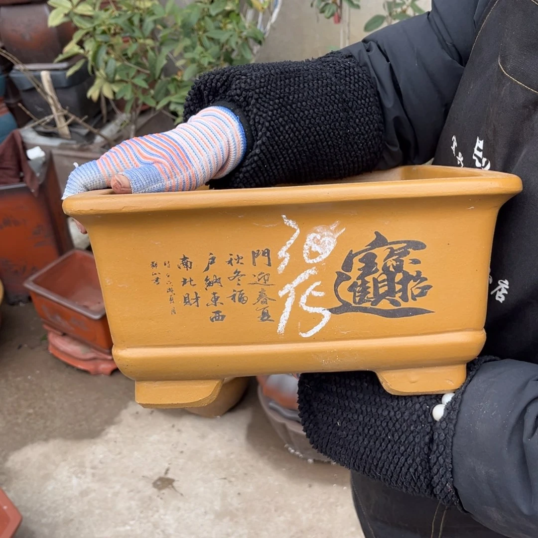 紫砂花盆盆景艺术