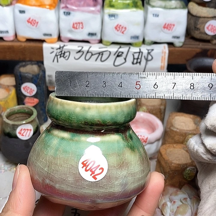 红陶拍5送一个小