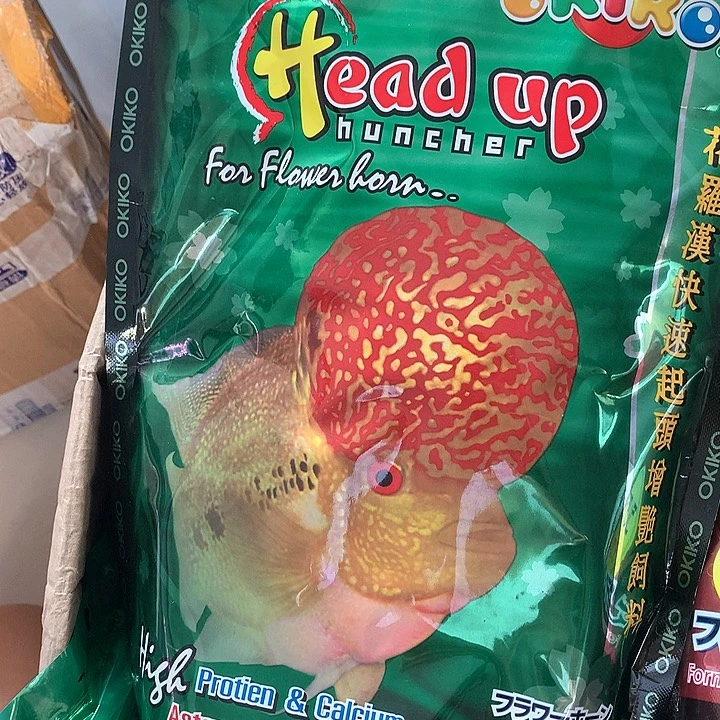 罗汉鱼增头料一斤8888888