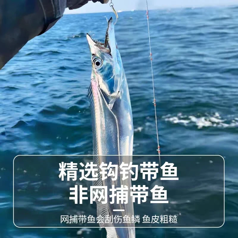 a新鲜带鱼6-4两每条 发10条 五斤 无冰衣油带鱼速冻缩鲜顺丰包邮