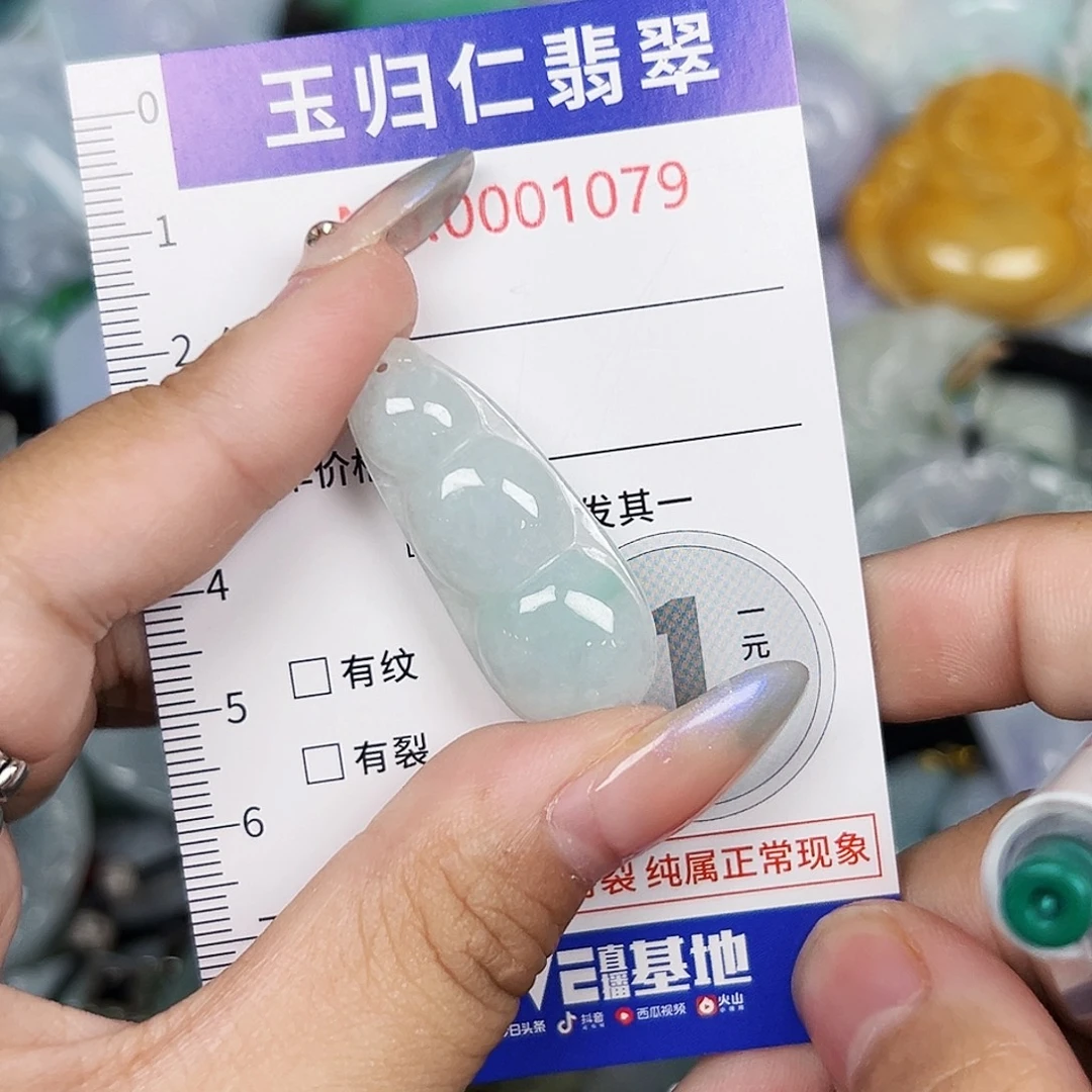 翡翠未镶嵌颈饰11