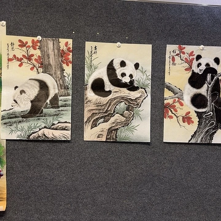 国画熊猫1125555555556655