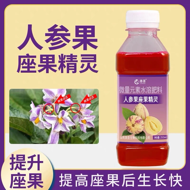 人参果专用座果精灵强力座果果大防畸防治落果果型美观增产提质