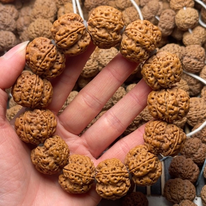 菩提尼泊尔大金刚梅花双龙24+