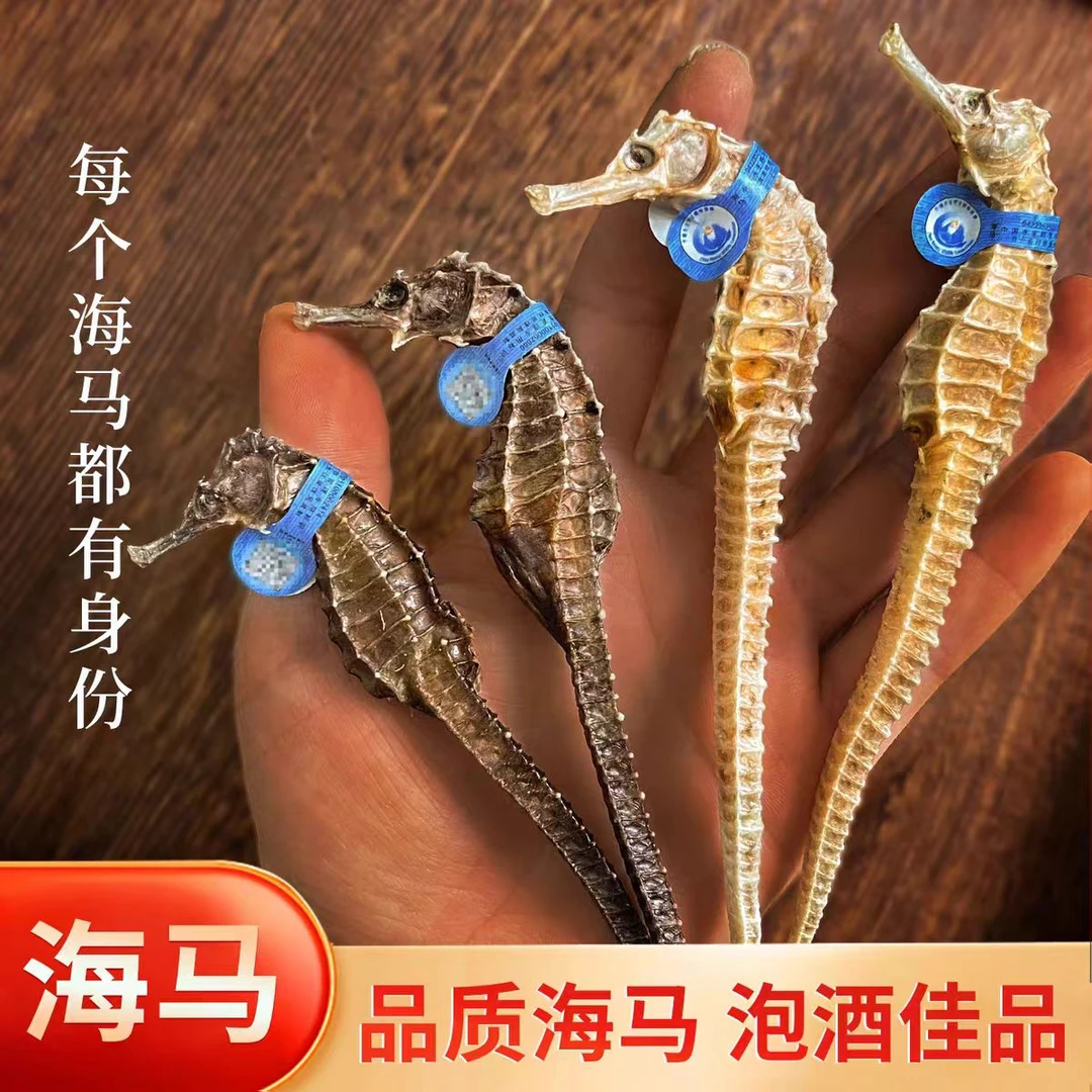 【嘉嘉专属】海马干货