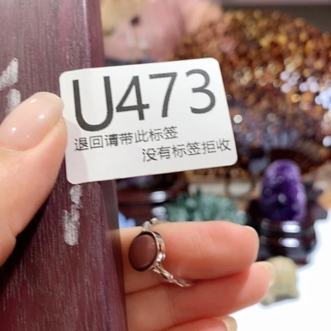 大叶紫檀（黑酸枝木类）473