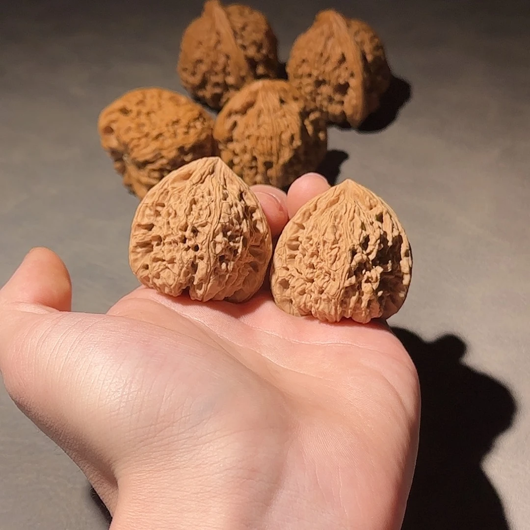 大叶紫檀（黑酸枝木类）