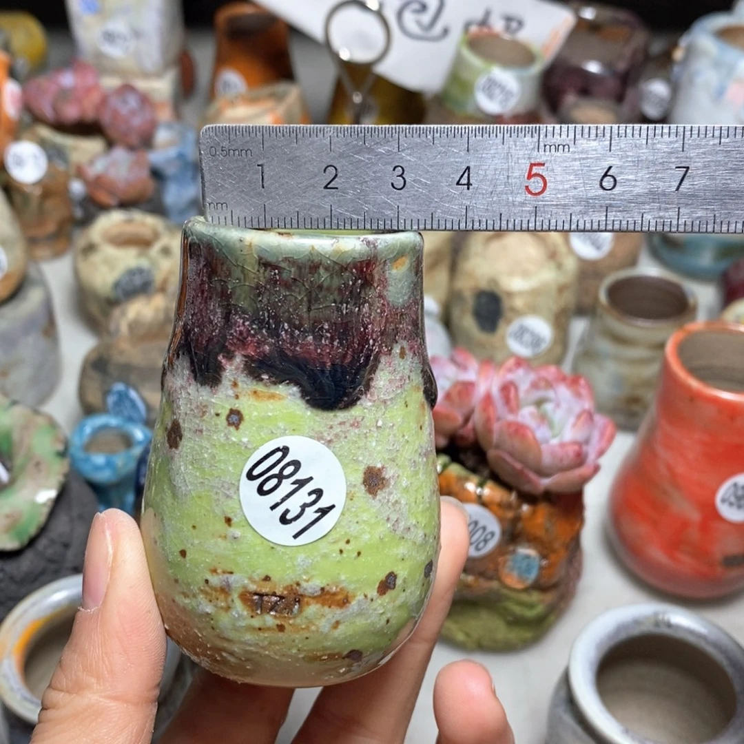 花盆拍5送一个小礼物