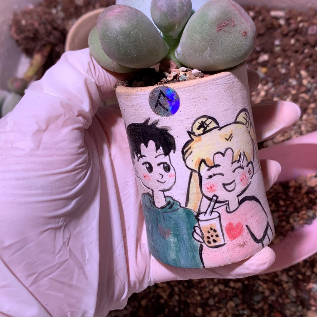 美少女花盆 美少女