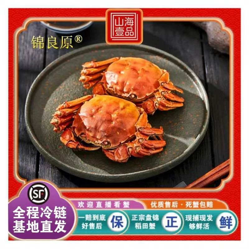 【活蟹】-辽宁卫视推荐盘锦河蟹全母蟹1.6-1.4两/只 2 斤装 盘锦稻田蟹 基地直发 顺丰包邮 死蟹包赔