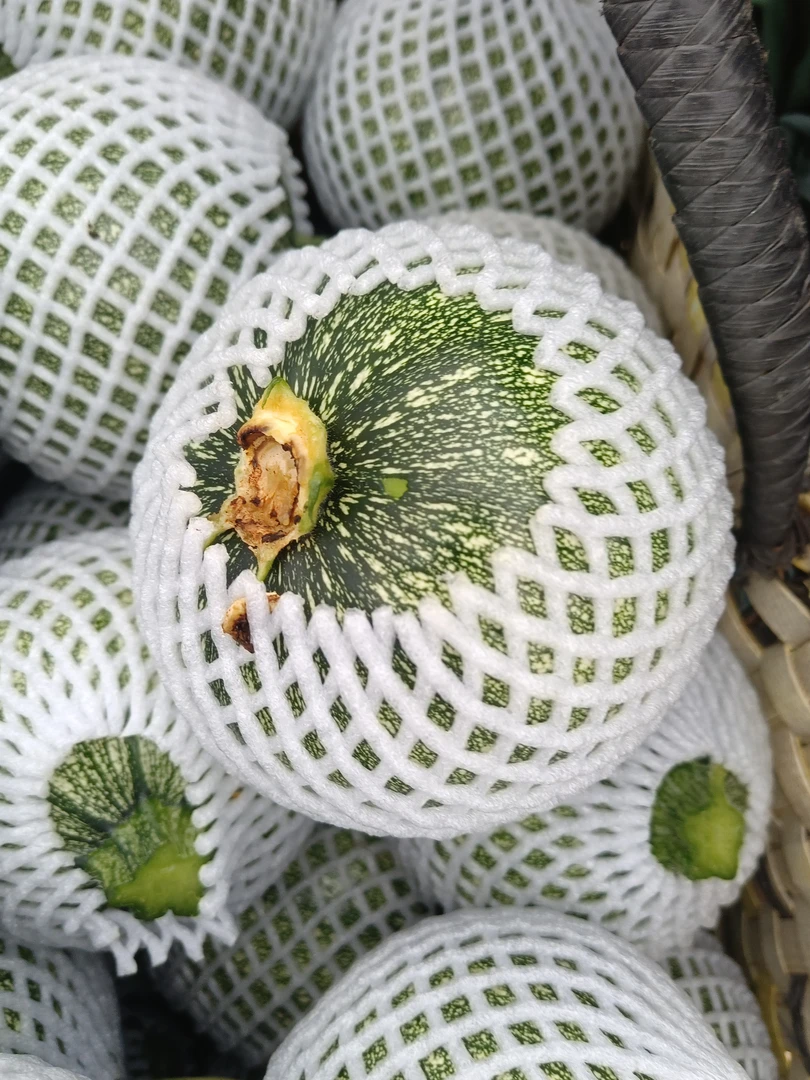 广西小农户露天嫩小南瓜