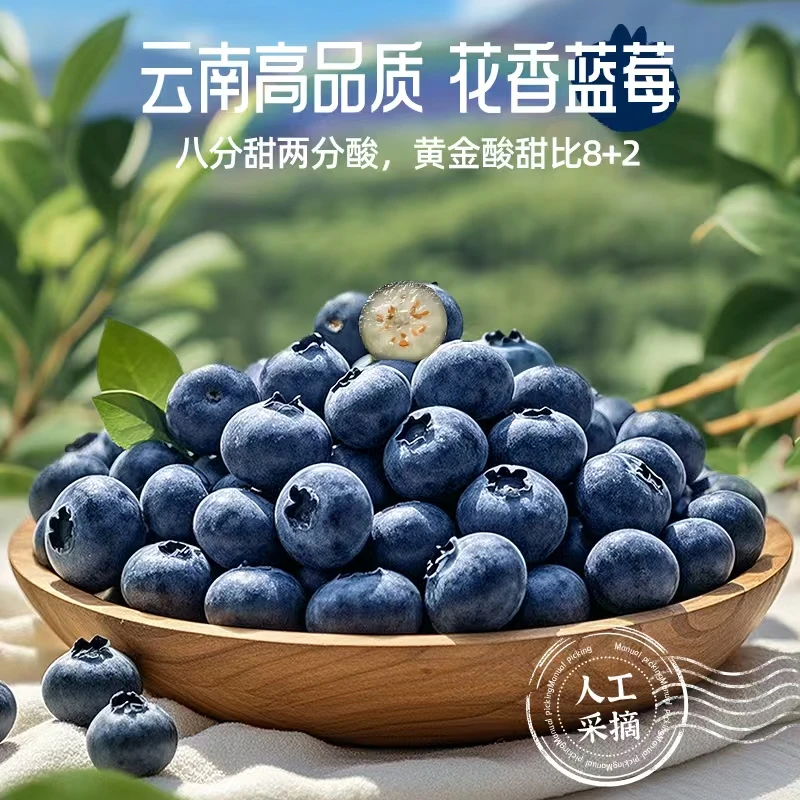 云南高山蓝莓原生态鲜果应季采摘  云南发货