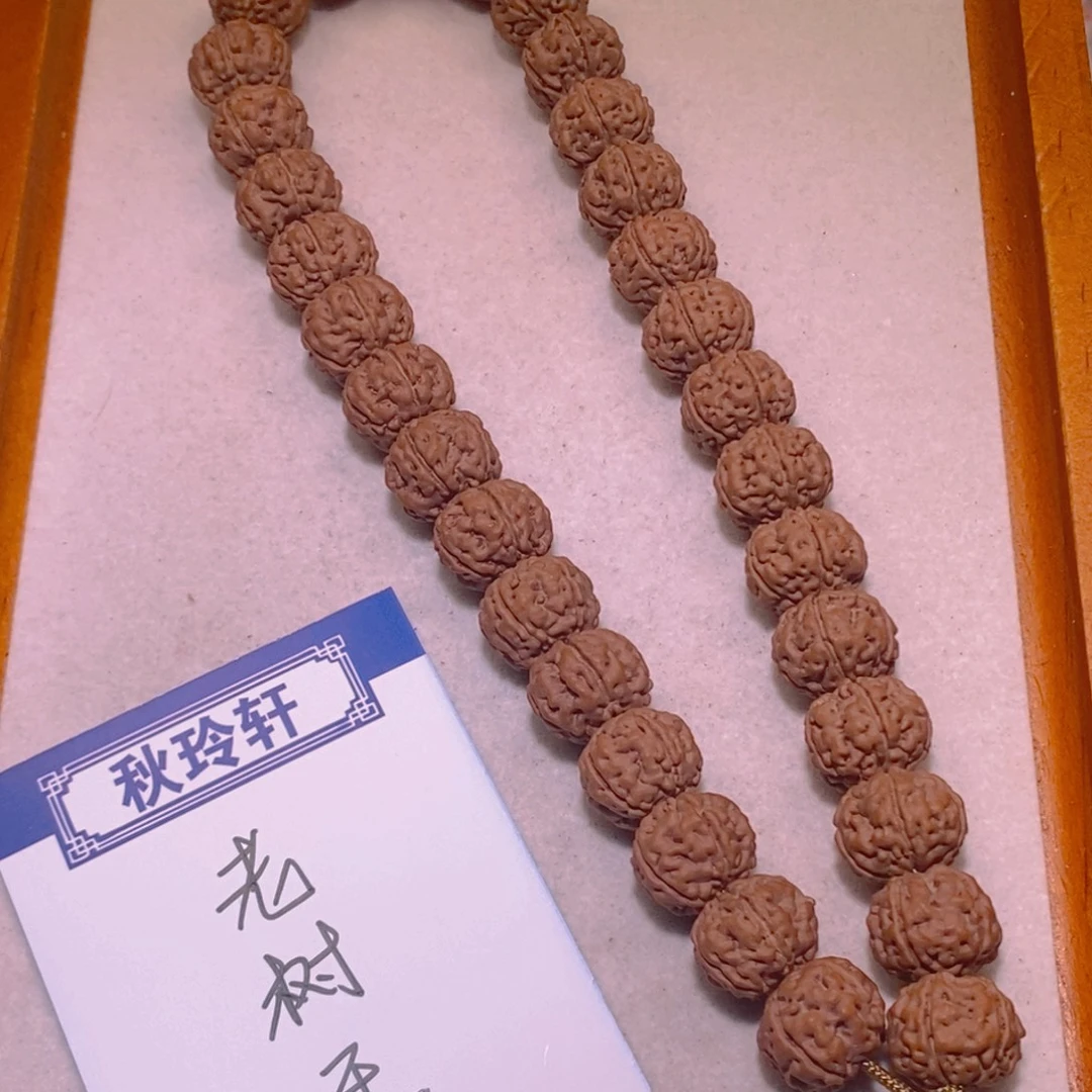 手串金刚菩提老树王13+
