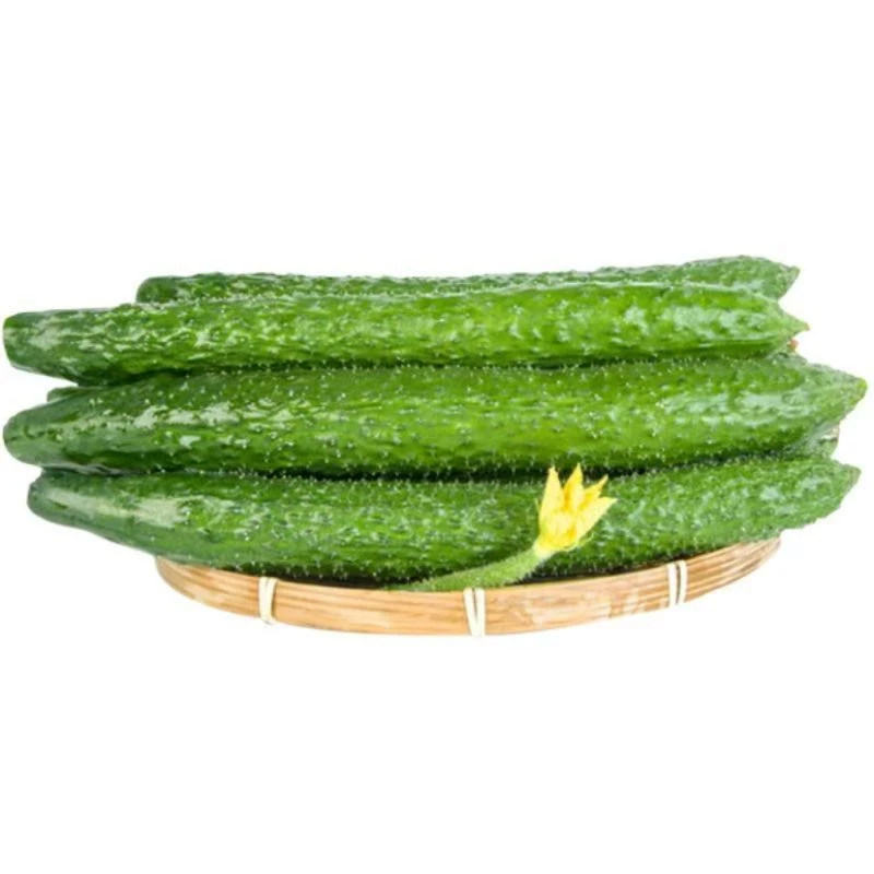 新鲜黄瓜500g左右一份