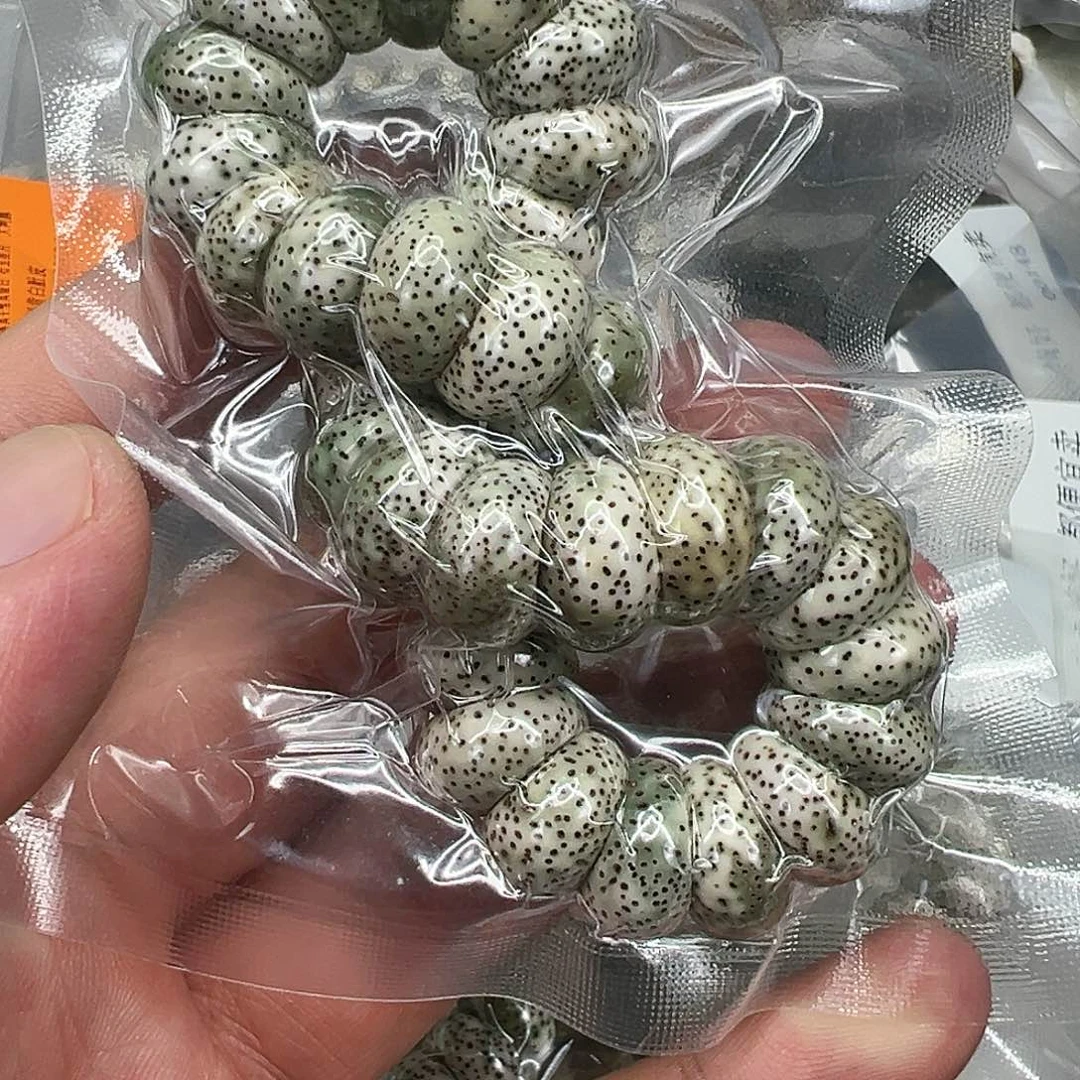 星月菩提手串89傲世星月菩提大肠1.4单圈