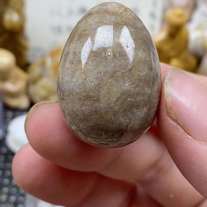 颈饰未镶嵌硅化珊瑚（珊瑚玉）