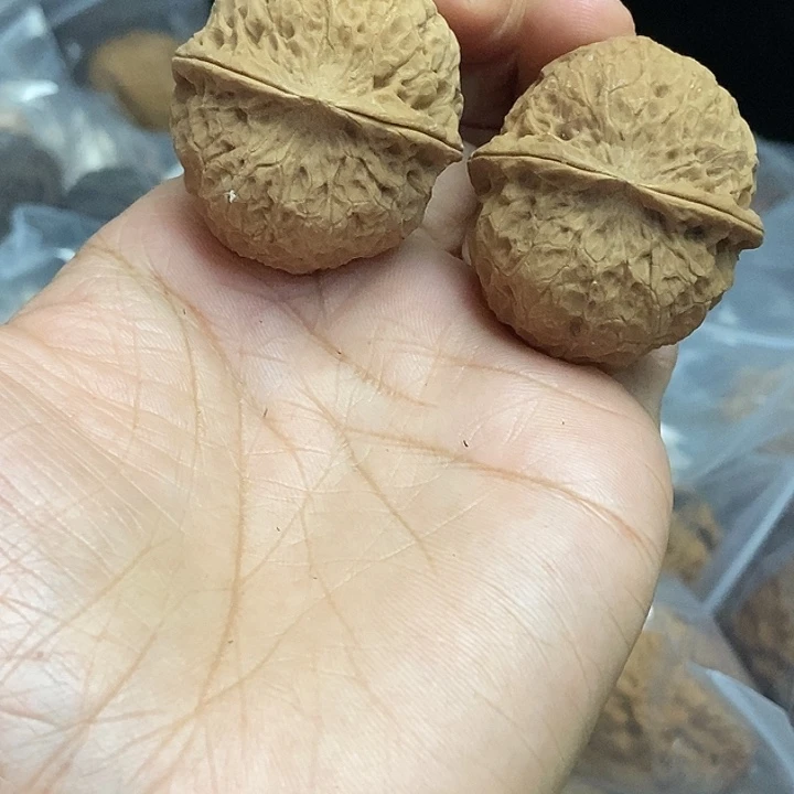 木质类云南铁核桃基地57