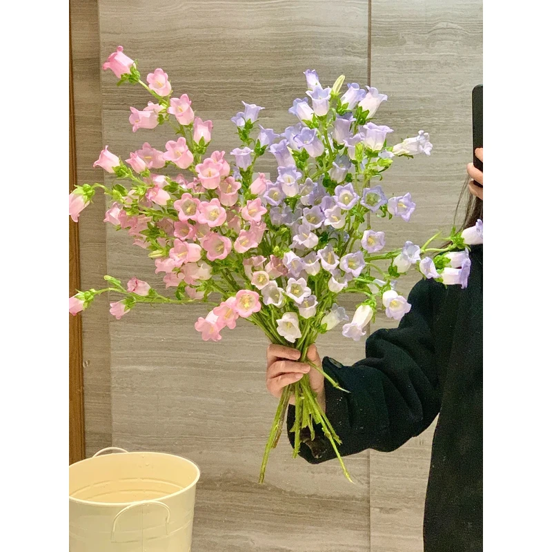 【风铃花】 一单包邮 云南鲜花昆明基地现采现发