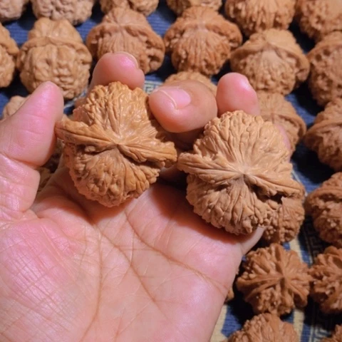 【闪购商品】吊坠文玩核桃J****2白狮子46