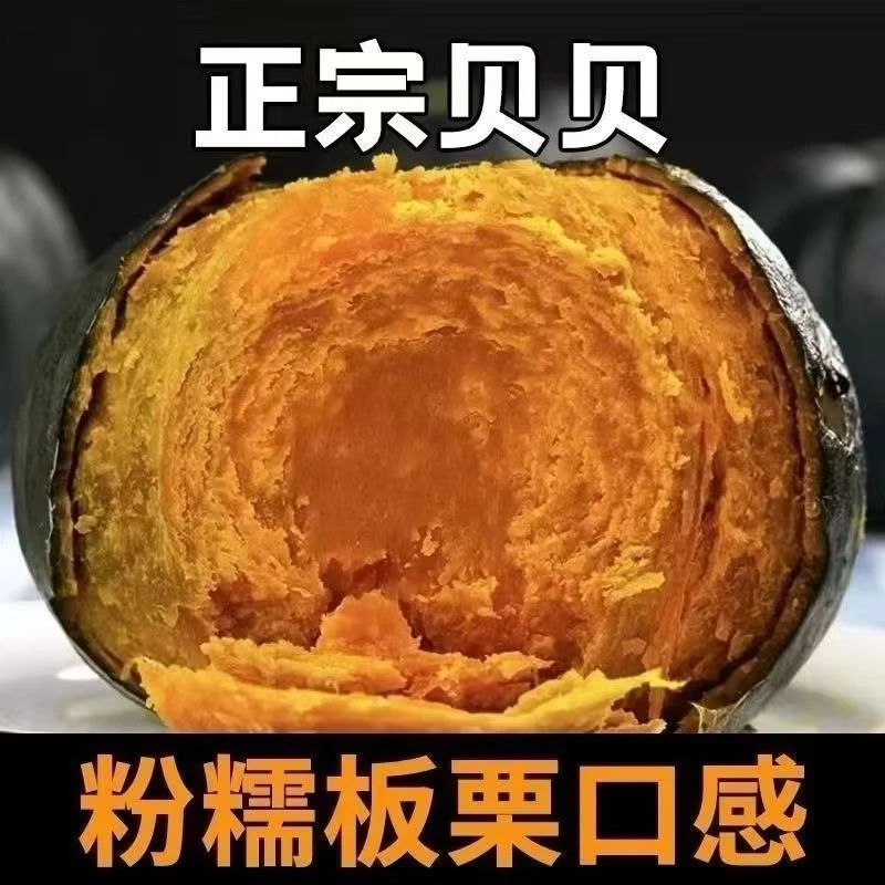 贝贝南瓜粉糯香甜板栗味迷你小南瓜粗粮代餐蔬菜