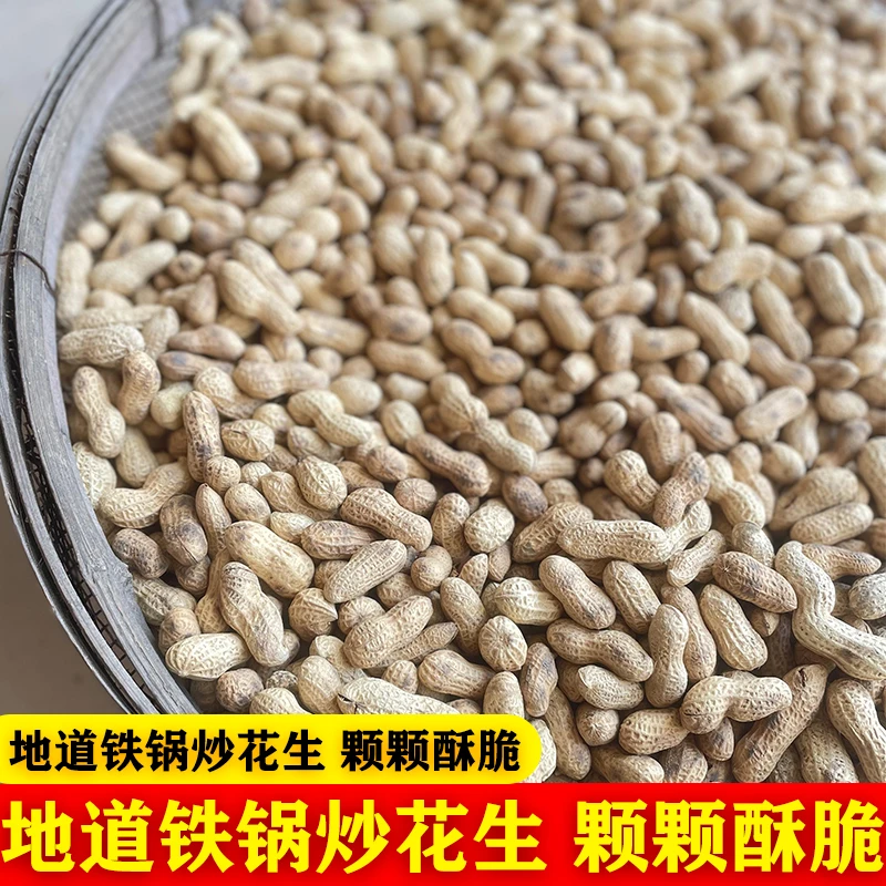 A原味柴火铁锅炒花生带壳花生带糊点柴火花生