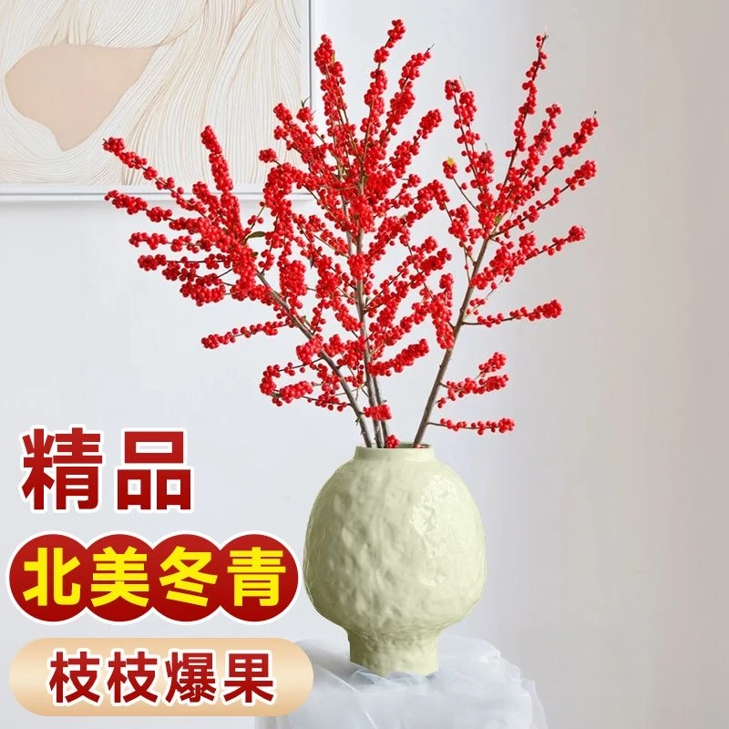 5支北美冬青鲜切枝【冬青 年宵花卉冬青 一单包邮价】