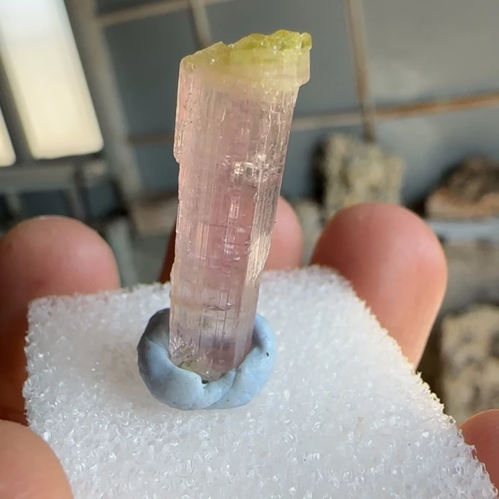 昌化石印石珍***多原石料