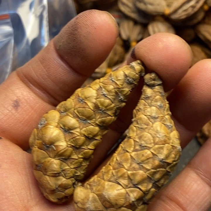 吊坠文玩核桃娜姐150