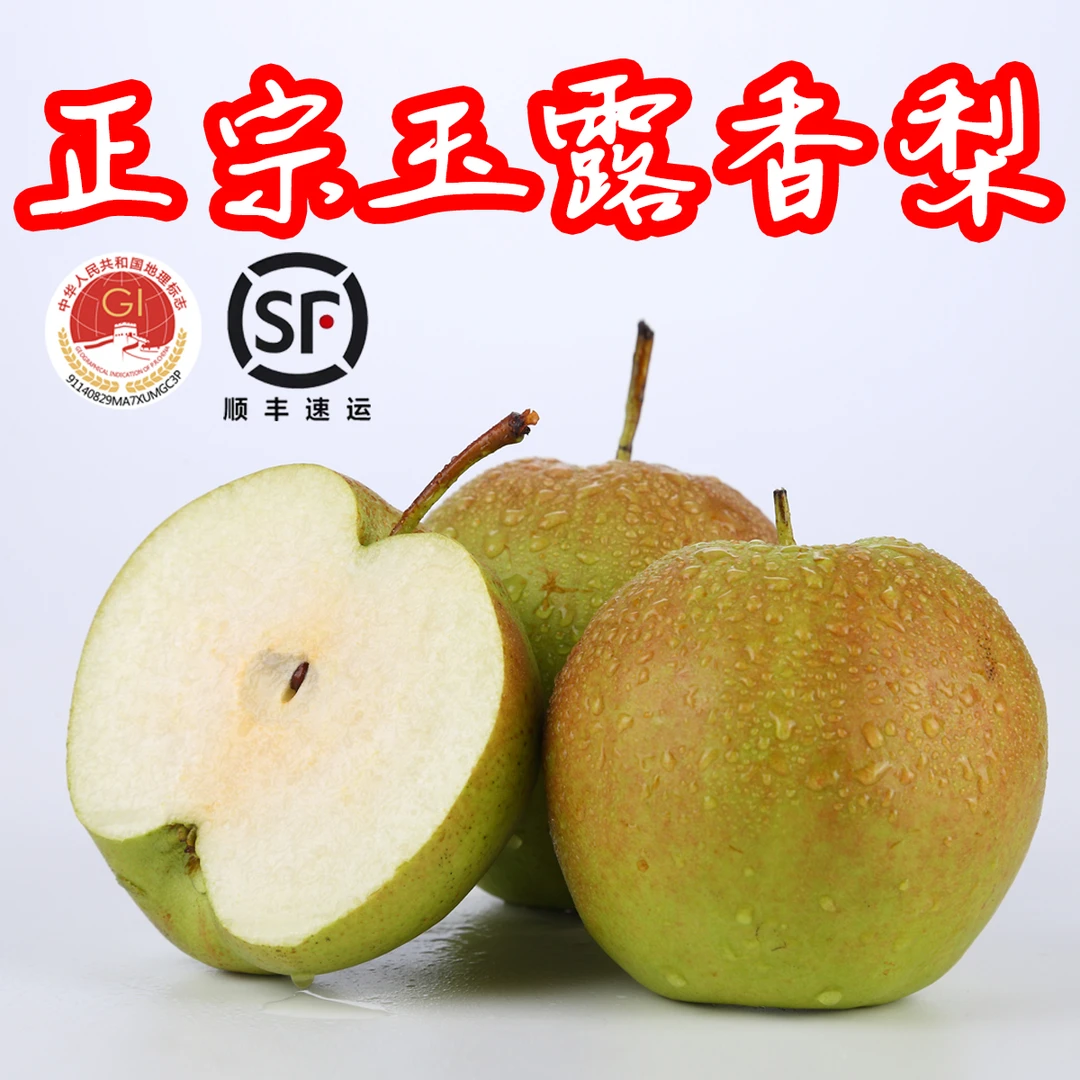地理标志【顺丰包邮】山西玉露香梨新鲜现摘脆甜多汁酥脆化渣皮薄
