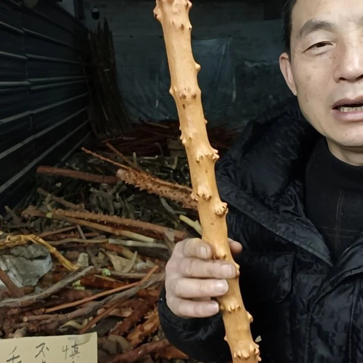 稳定木用****春贵州檬子木 铁马鞭 根艺 半成品