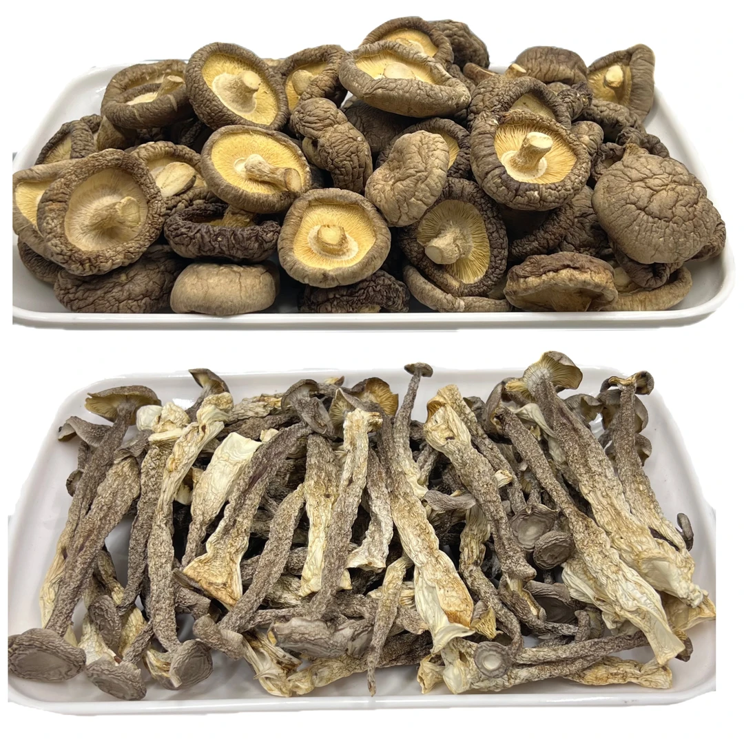 【普源优选】香菇鹿茸菇组合