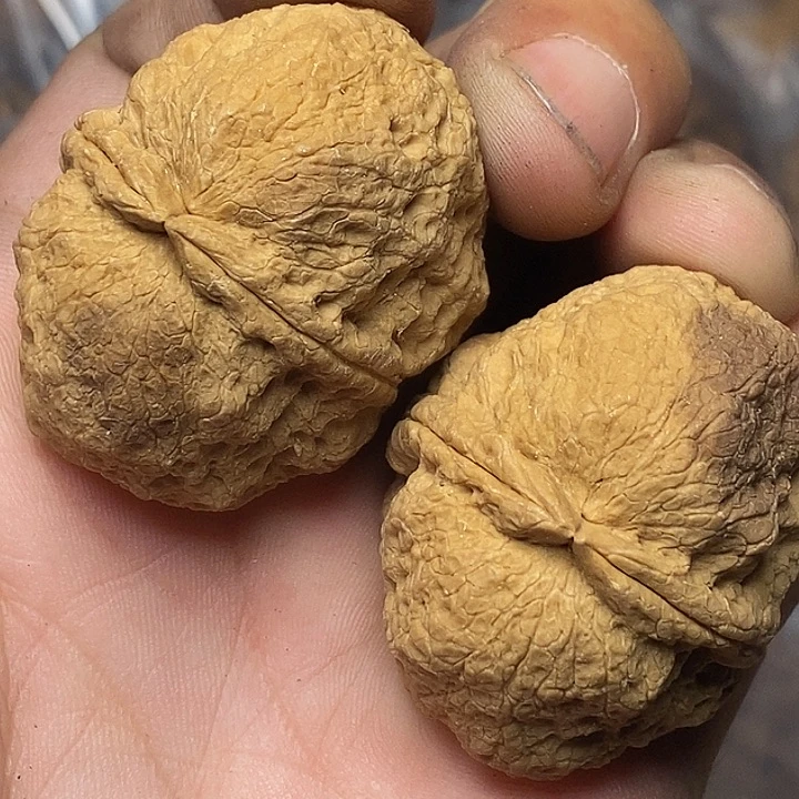 把件文玩核桃云南铁核桃A98