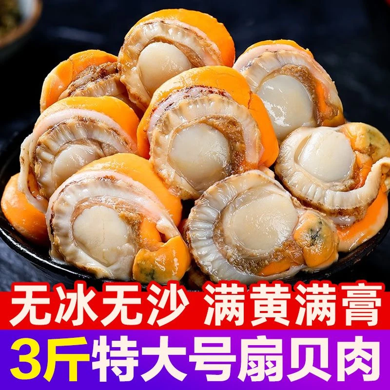 3斤扇贝肉 新鲜海鲜水产连云港发货