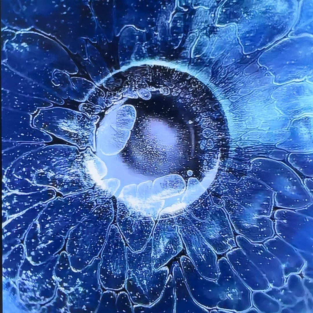 茶盏蓝莲花建盏茶器