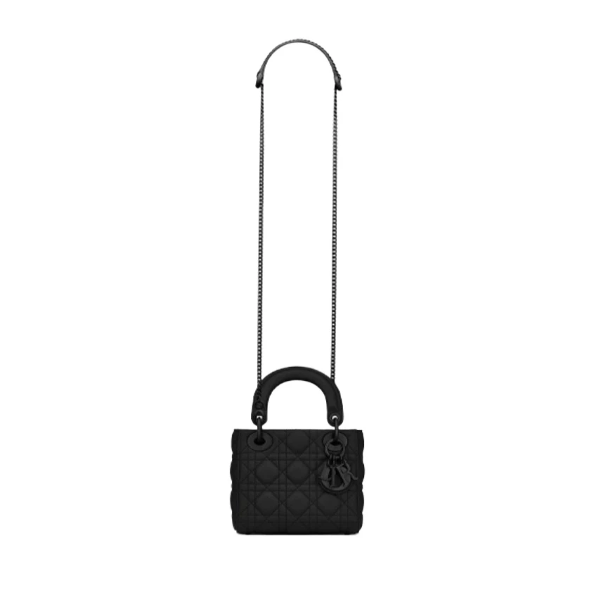 未使用 DIOR/迪奥 安洁利严选/BK0130079 手提包