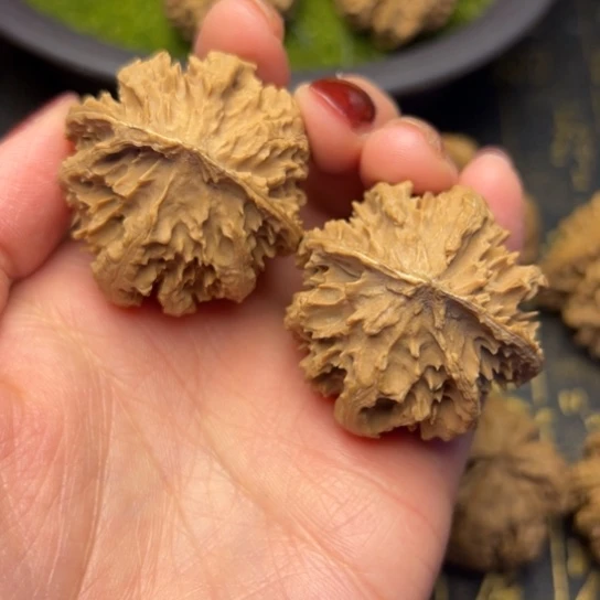 文玩核桃把件秦岭核桃35