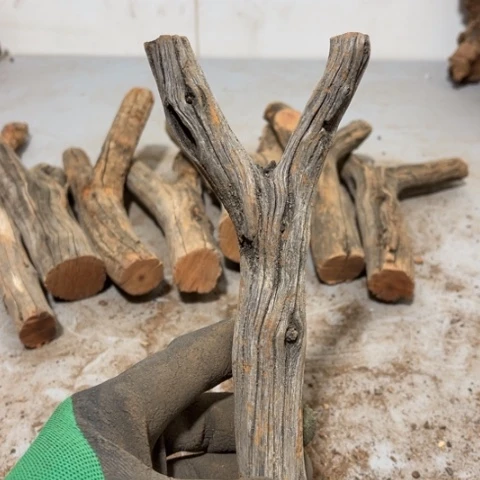 大果紫檀（缅甸花梨）子*鱼