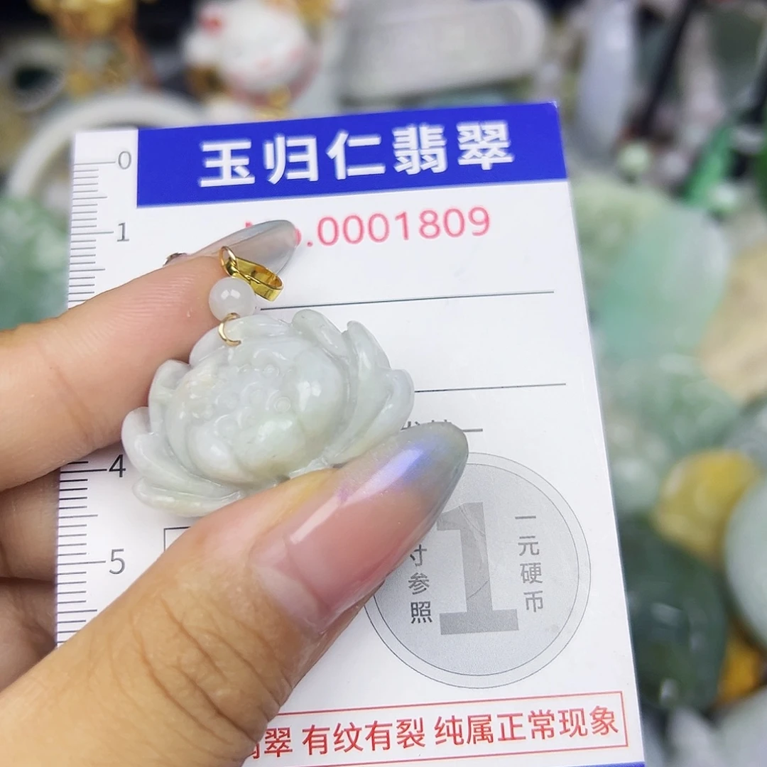 翡翠未镶嵌吊坠(不含链)Qqqq