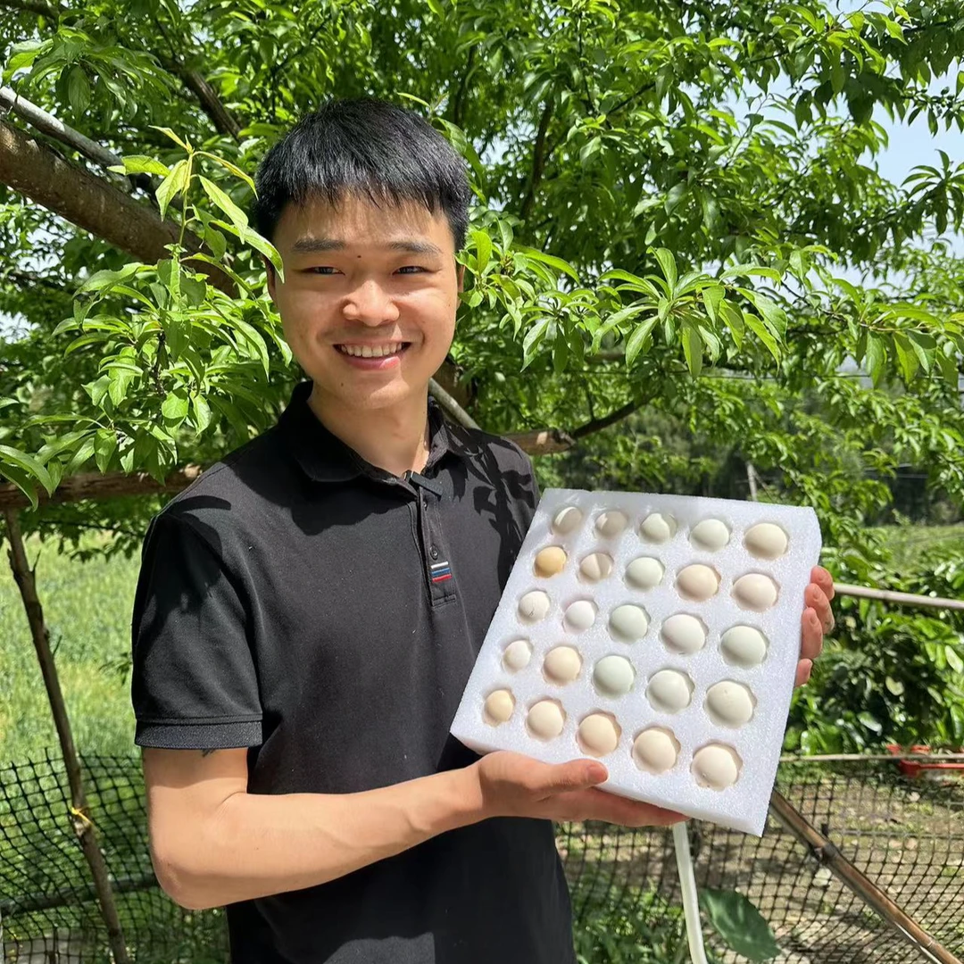 农家放养生态土鸡蛋30枚/50枚