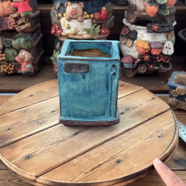 尚雅多肉花盆百搭