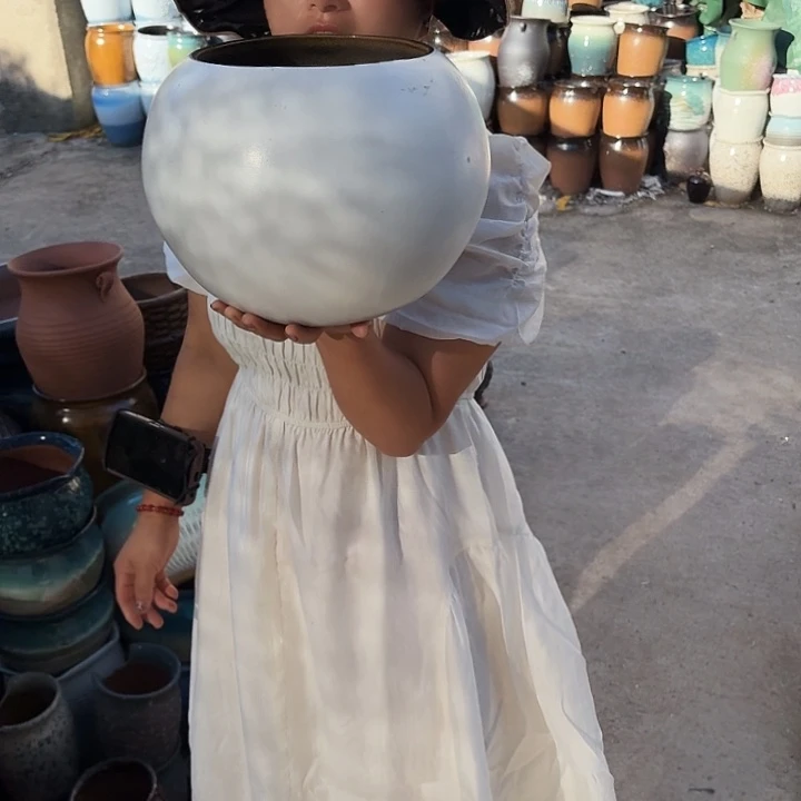 口19高22瑕疵一个盆子