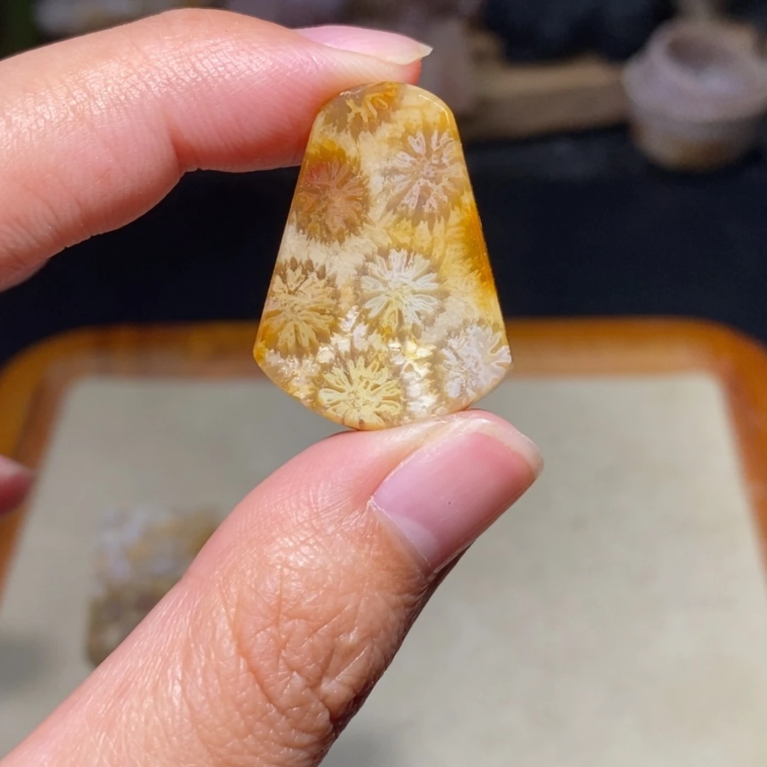 【闪购商品】硅化玉珊瑚玉未镶嵌